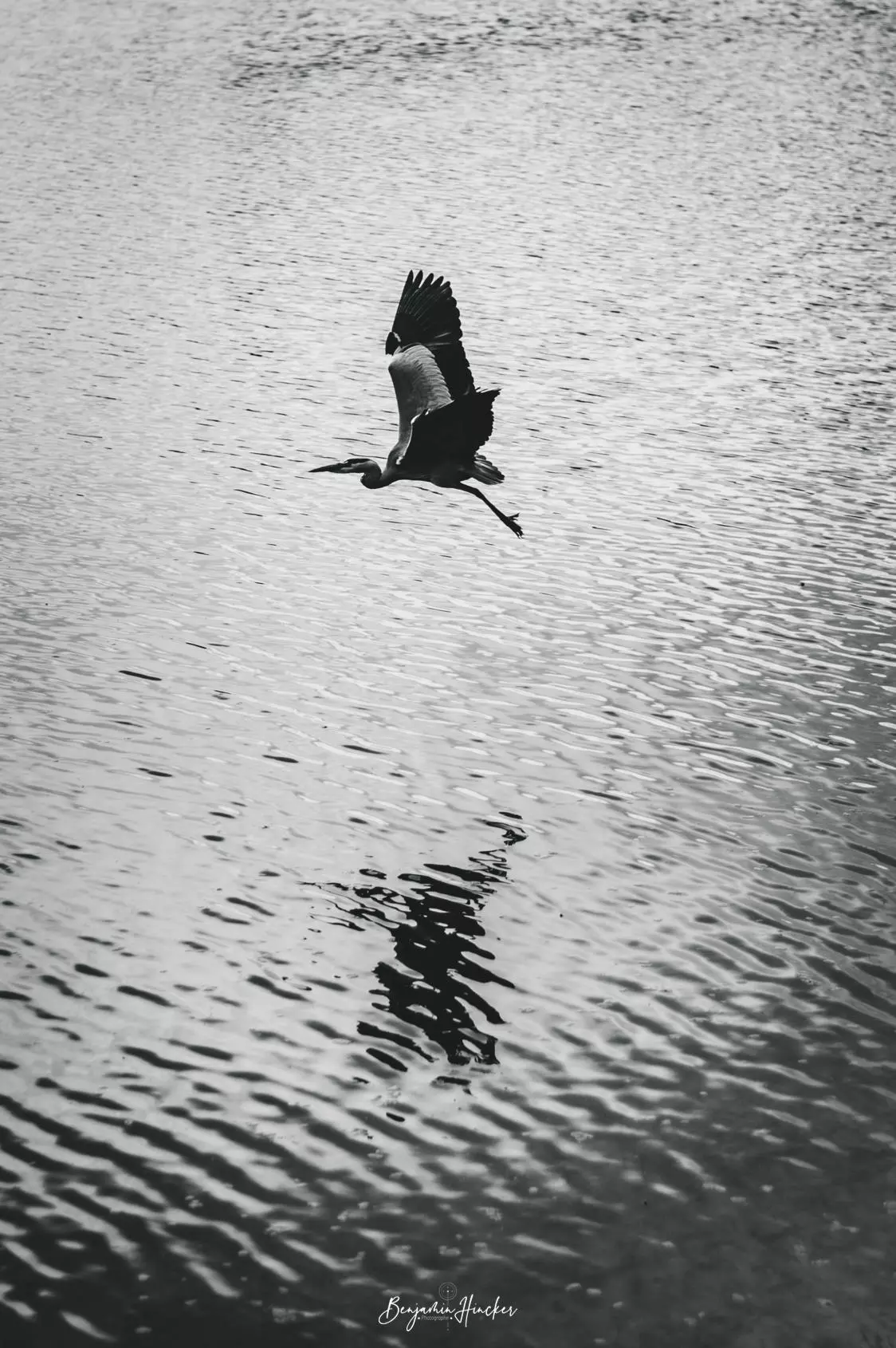 Série Confinement COVID-19 : 1km -